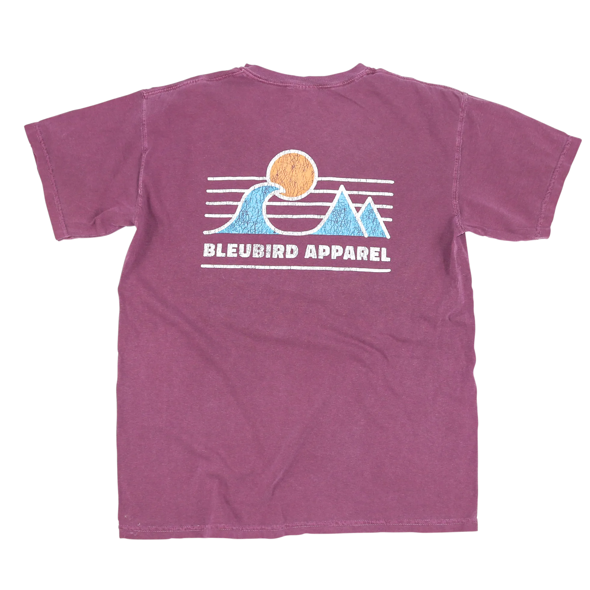 BleuBird Horizon Tee