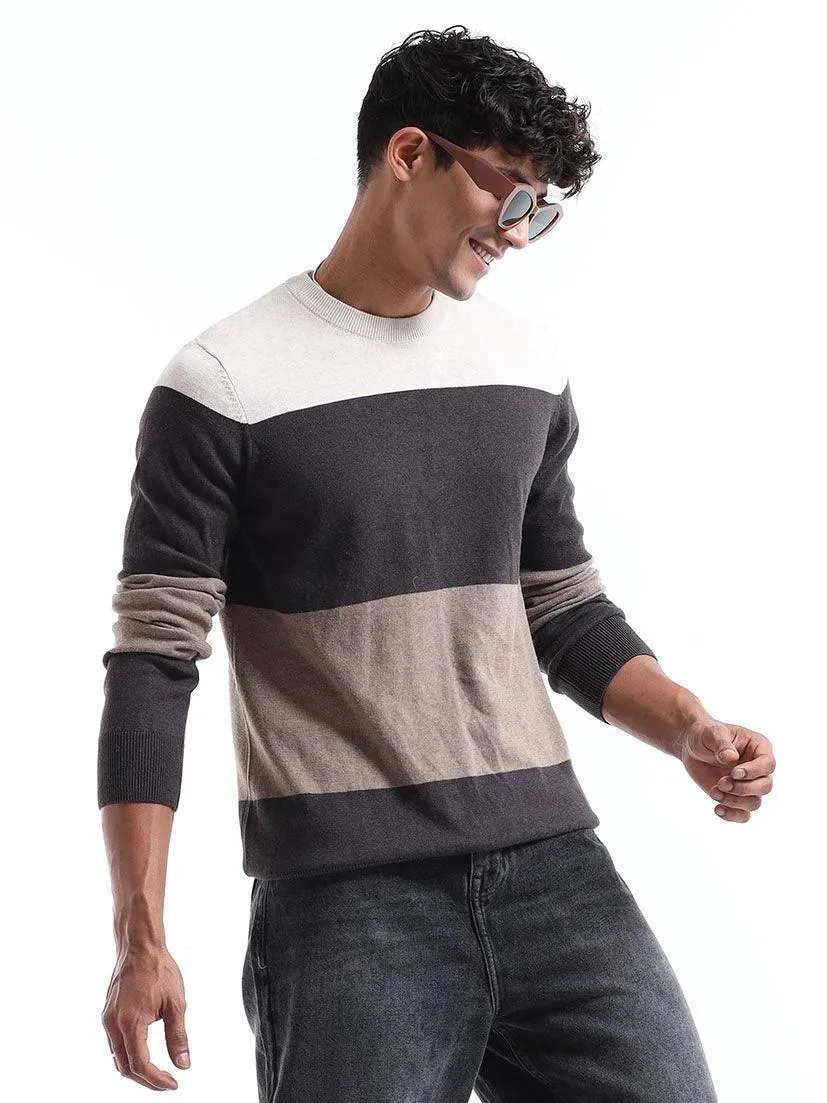 Men's Multicolor Striped Sweater