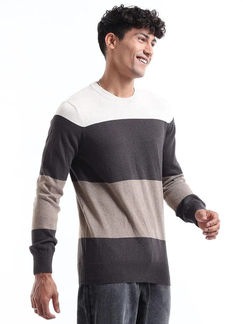 Men's Multicolor Striped Sweater