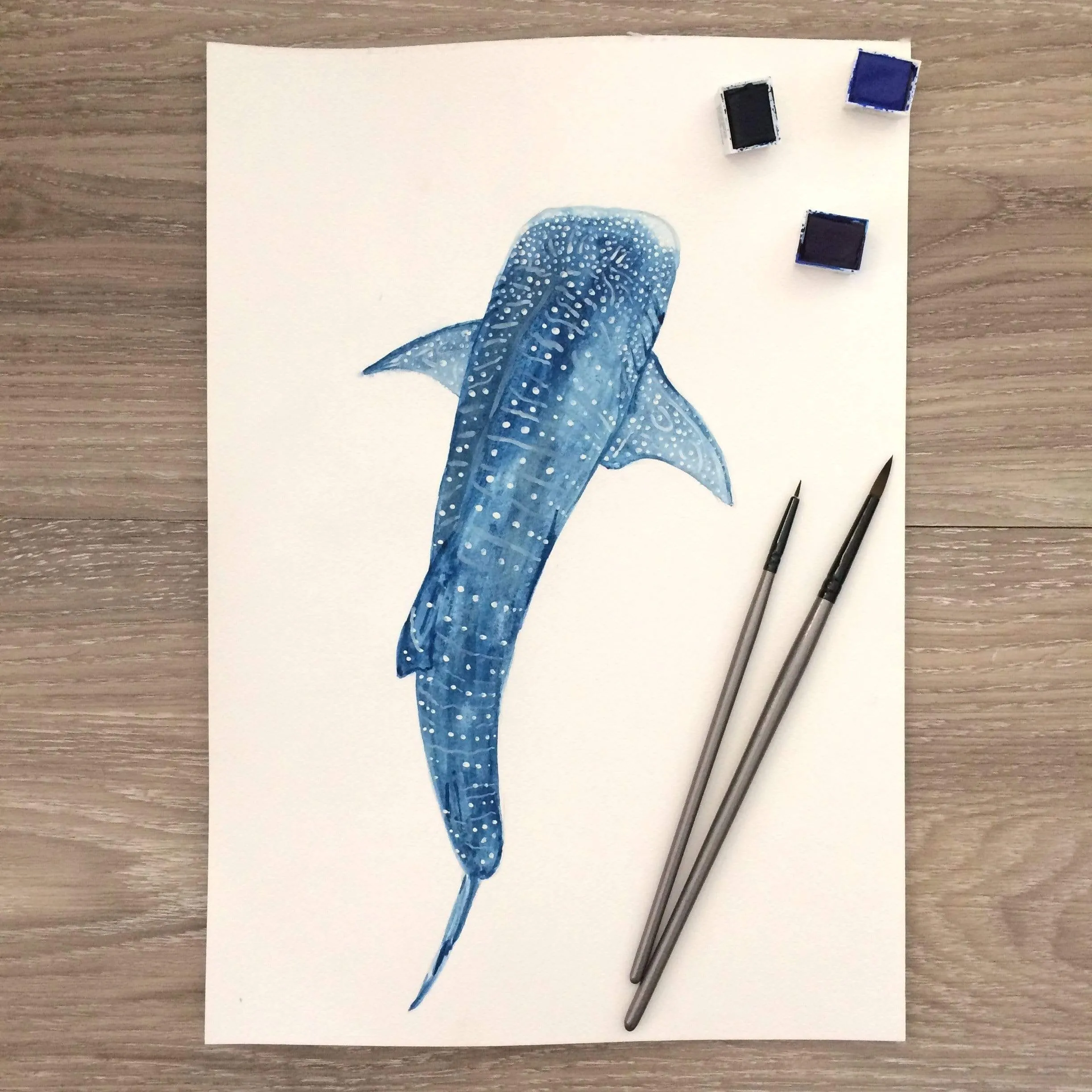 Whale Shark Scarf